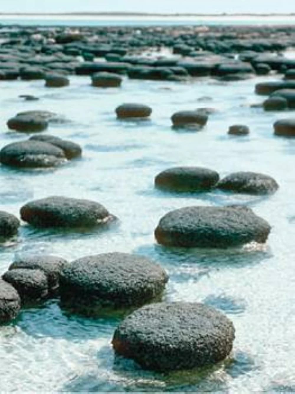 اكتشاف علمي يفتح آفاقاً جديدة للبحث عن الحياة خارج الأرض